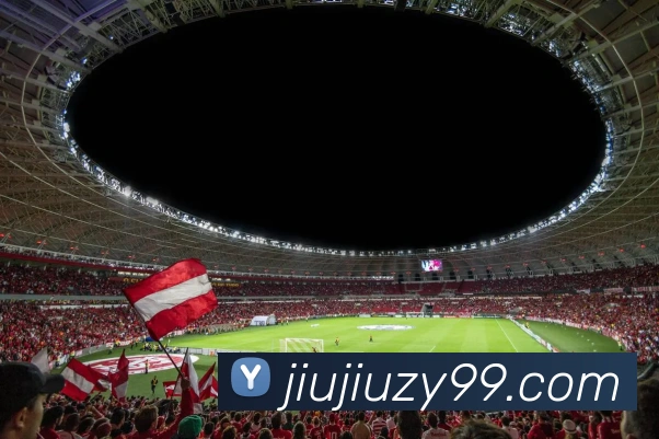 星空官方体育入口APP 封面图